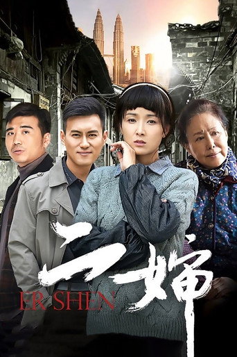 Póster de 二婶