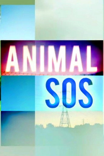 Póster de Animal SOS
