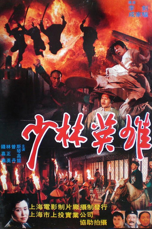 Póster de 少林英雄