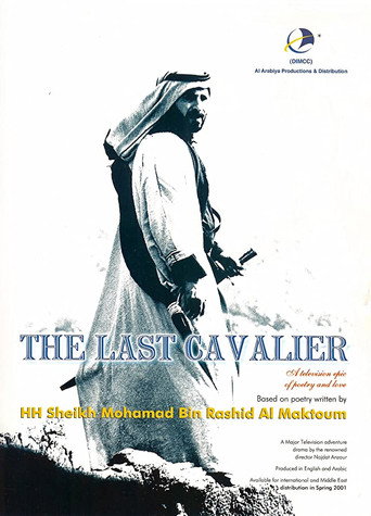 Póster de The Last Cavalier