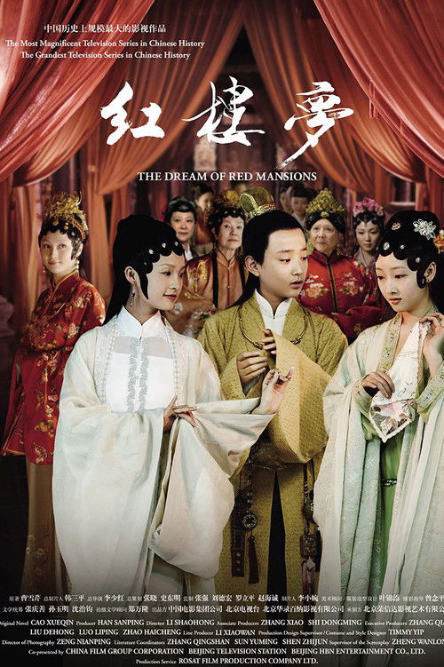 Póster de 红楼梦