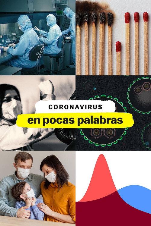 Póster de Coronavirus, en pocas palabras