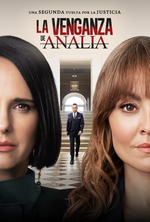 Póster de La venganza de Analía