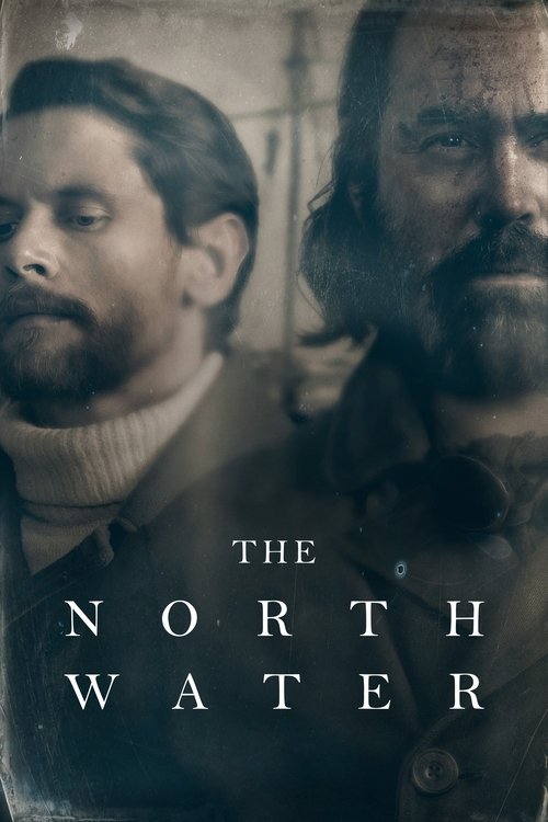 Póster de The North Water