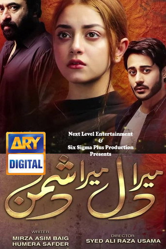 Póster de Mera Dil Mera Dushman