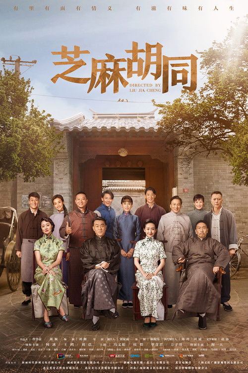 Póster de 芝麻胡同