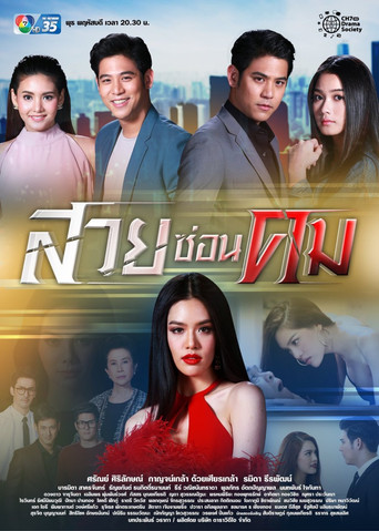 Póster de สวยซ่อนคม