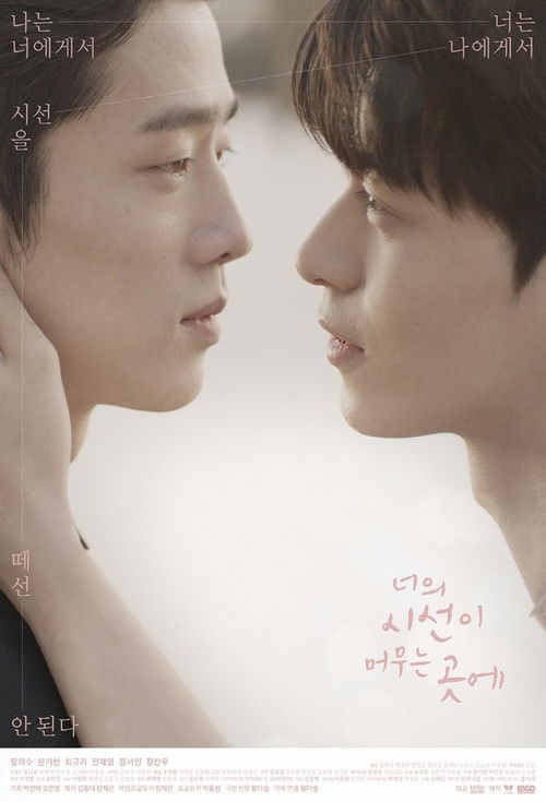 Póster de 너의 시선이 머무는 곳에