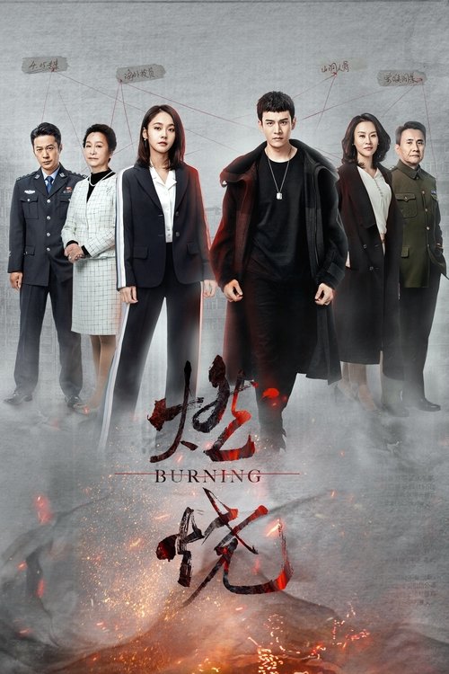 Póster de 燃烧