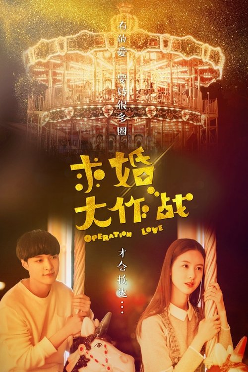 Póster de 求婚大作战