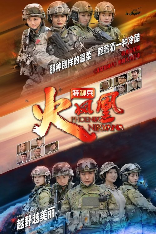 Póster de 我是特种兵之火凤凰