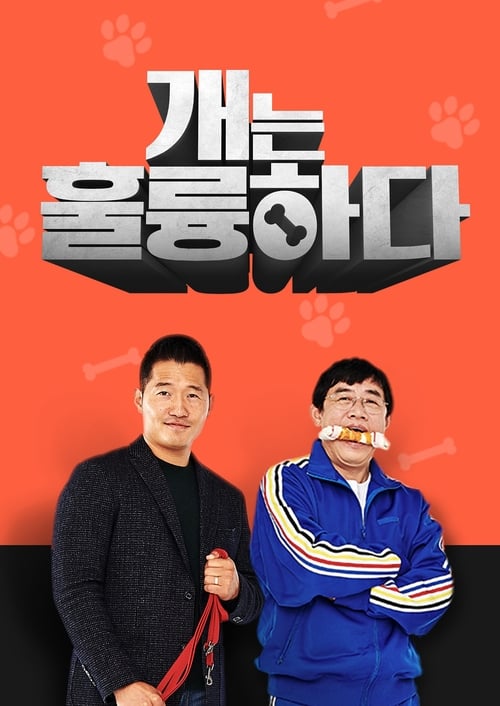 Póster de 개는 훌륭하다