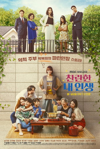 Póster de 찬란한 내 인생