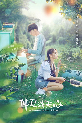 Póster de 仲夏满天心
