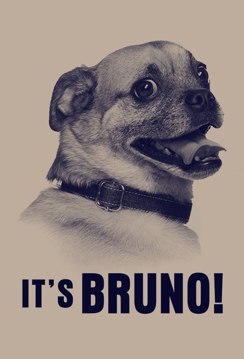 Póster de It's Bruno!