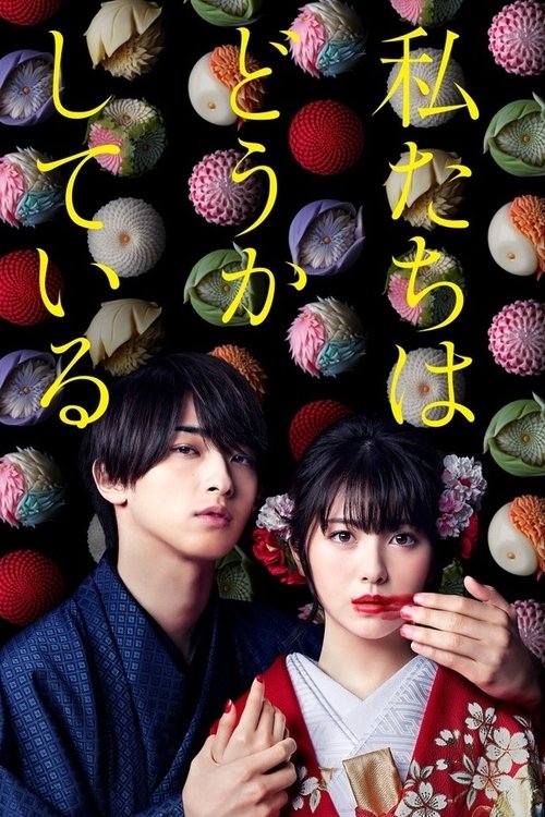 Póster de 私たちはどうかしている