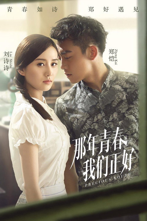 Póster de 那年青春我们正好