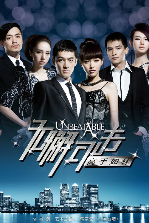 Póster de 无懈可击之高手如林
