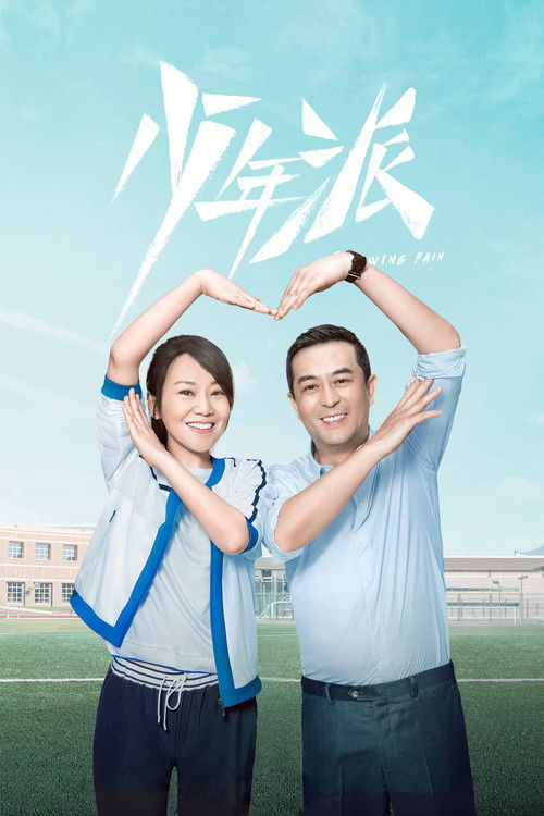 Póster de 少年派