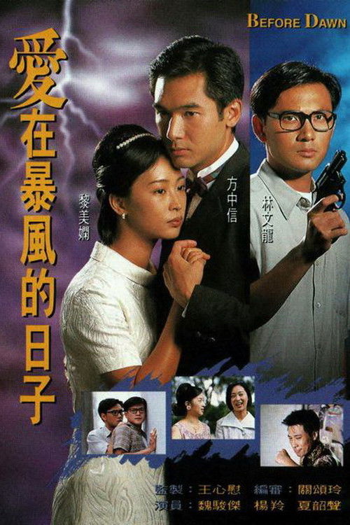 Póster de 愛在暴風的日子
