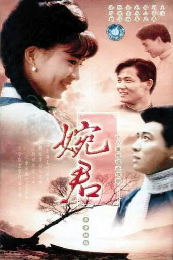Póster de 婉君