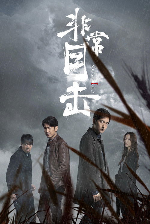 Póster de 非常目击