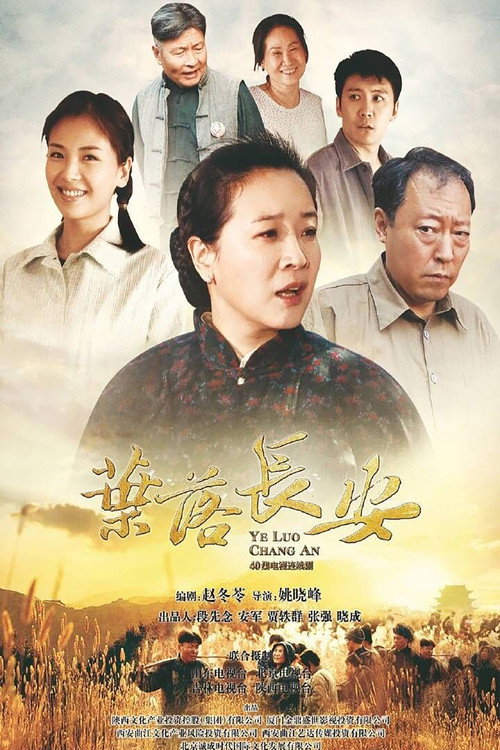 Póster de 叶落长安