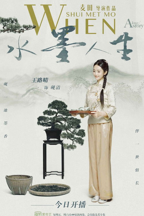 Póster de 水墨人生