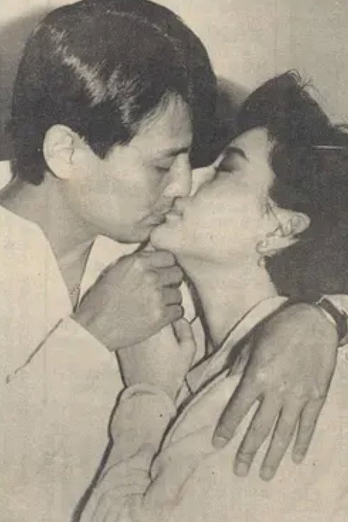 Póster de 梧桐夜雨