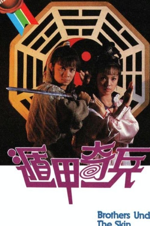 Póster de 遁甲奇兵