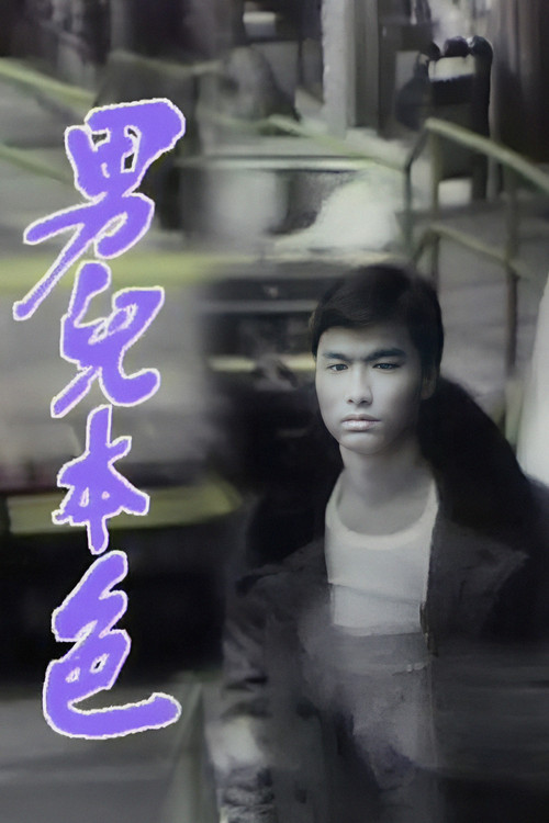 Póster de 男兒本色