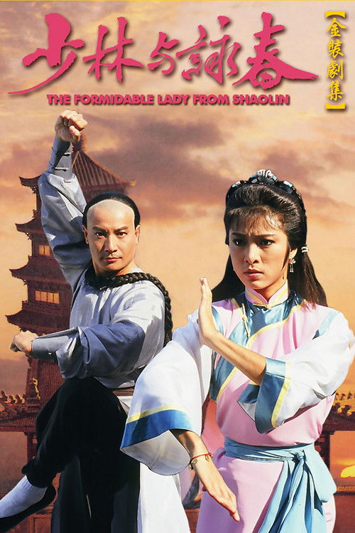 Póster de 少林與詠春