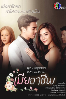 Póster de เมียอาชีพ
