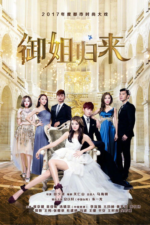 Póster de 御姐归来