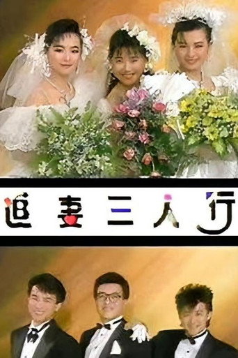 Póster de 追妻三人行