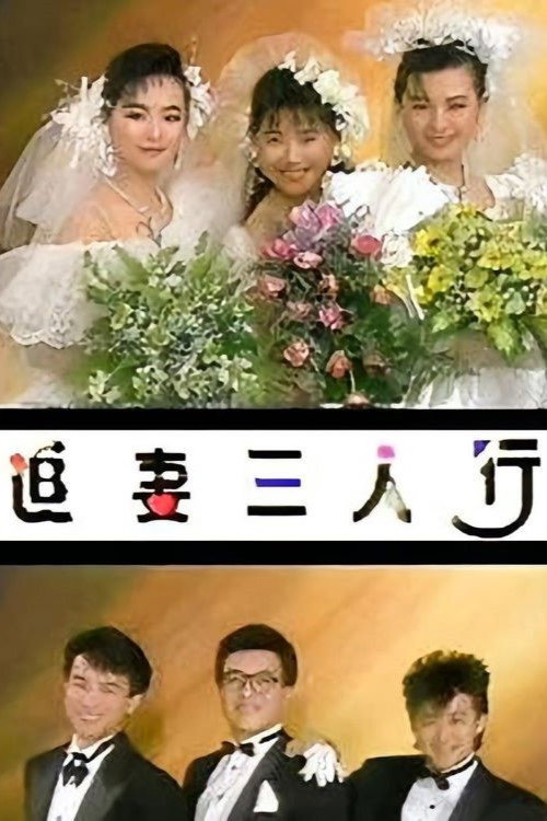 Póster de 追妻三人行
