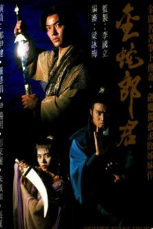 Póster de 金蛇郎君