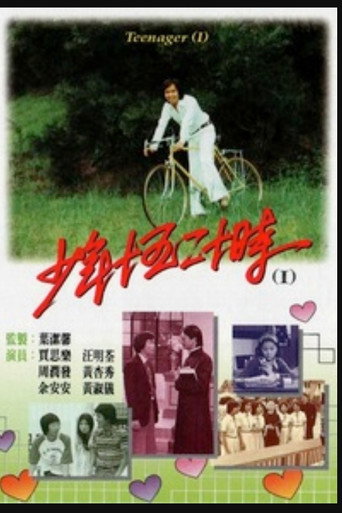 Póster de 少年十五二十時