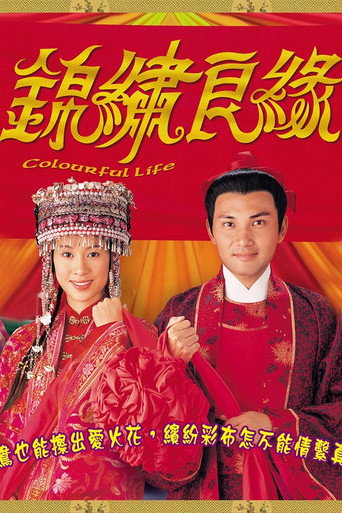 Póster de 錦繡良緣
