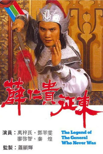 Póster de 薛仁貴征東