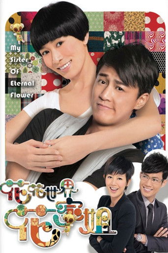 Póster de 花花世界花家姐