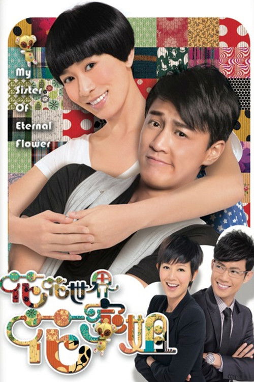 Póster de 花花世界花家姐