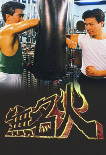 Póster de 無名火