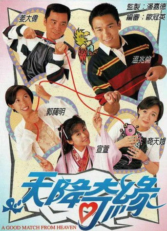 Póster de 天降奇緣