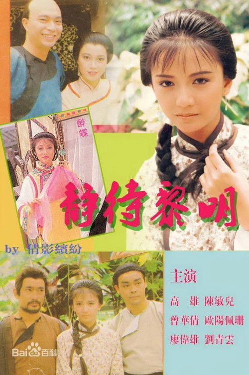 Póster de 靜待黎明