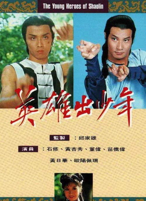 Póster de 英雄出少年