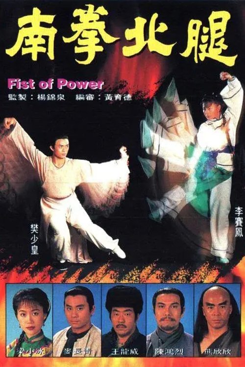 Póster de 南拳北腿