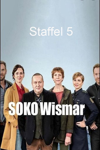 Póster de 男人之苦