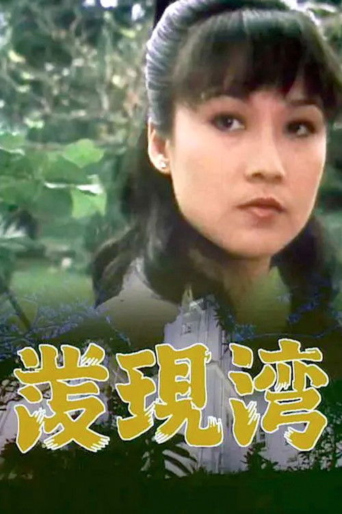 Póster de 發現灣