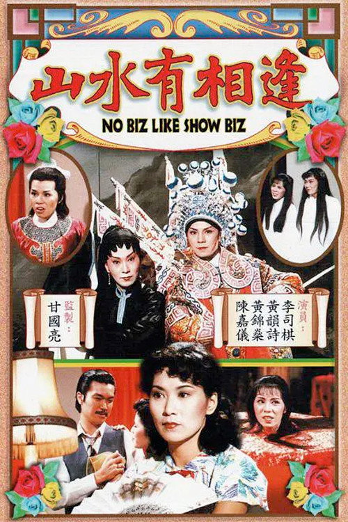 Póster de 山水有相逢